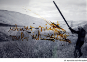 hinaus_43