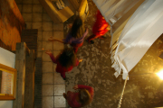 behind_021