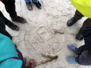 connect2015_01