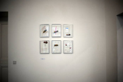 unfoldingstoriesinst_007