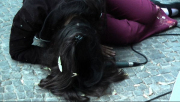 abseits_001