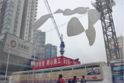 china10_15