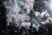 elements_03