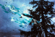 elements_04