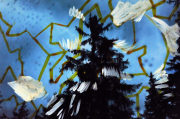 elements_06