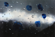 elements_08