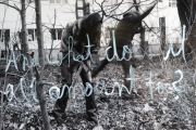 ghosttow_17_