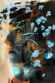 08_in-ice