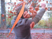 menschraum05_14