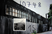 recall_13