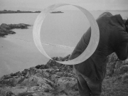 scot06_21