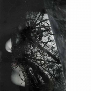 seensomething07_15