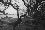 somethingbeyond08_19