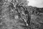 somethingbeyond08_23