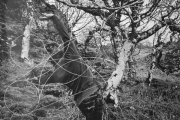 somethingbeyond08_25
