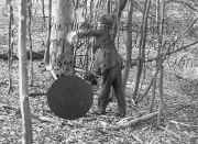 forest06_04