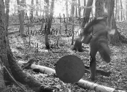 forest06_09