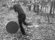 forest06_10