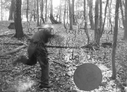 forest06_15