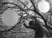 forest06_20