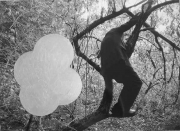 forest06_21