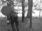 forest06_29