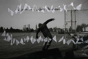 wordlessdance07_18