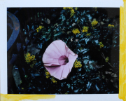 behind our eyes_010