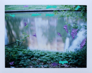 behind our eyes_036