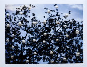 behind our eyes_048