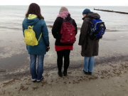 Zingst_010