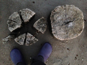 Zingst_020